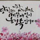 삼보기물 이미지