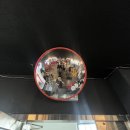 임팩트 화원점 이미지