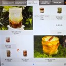에끌리에 | 강남 카페 강남 포토존 카페 아란로빈 카페