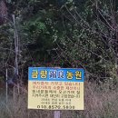금량농장 네이버블로그
