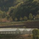 서울대학교 농업생명과학대학 실험목장 | 서울대학교 "평창캠퍼스" 그린 바이오 과학기술연구단지