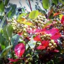 해덕농장 이미지