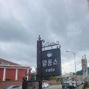 알퐁스카페 이미지