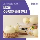 [천안] 수신멜론축제 6월 7일~8일