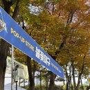 204 | 불꽃야구 직관후기 1루 204블록 파이터즈석 시야(경기,응원) 잠실종합운동장 BBQ치킨 내돈내산