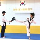 가람경희대 태권도장 이미지