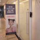 펫클럽압구정 | 압구정 비앤미 입술반영구 솔직후기