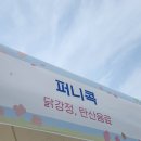 유진 대림 | 2026 불광천 벚꽃축제 먹거리부스 종류, 배치, 이용후기