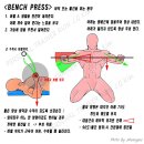 서정피트니스 이미지