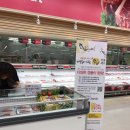 하나로 클럽 이미지