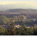 대륜고등학교 이미지