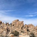 트리밸리 이미지