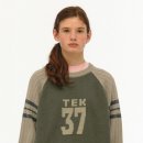 Gray29 이미지