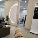 레오나오 이미지