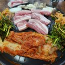 정원복돼지 이미지