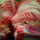 참돈돼지 이미지