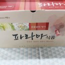 신기양파