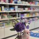 사랑이 꽃피는 약국 이미지