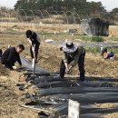 신당농장 이미지