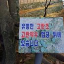 부여군 고란약수 이미지