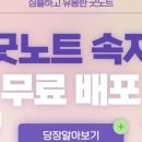 노트로담 이미지