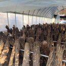 산현농장 이미지