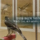 경기대학교소성박물관 | 수원에서 만나는 소중한 전통! 경기대학교 소성박물관