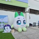 두산2 - 장수군 | 6/2-3(화/수) 한화vs두산 직관 후기 잠실야구장 3루 네이비석 329블록 10열, 11열 시야