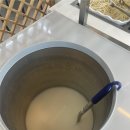 씨유 평택고덕국제점 | 고덕 코다리조림 맛집 황금코다리 평택고덕점 | 가성비 甲 평일 점심특선 후기