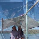 세계 속의 AL신부님 사업 추천!! 이미지