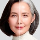 불로초교 이미지