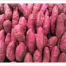 무주반디농장 이미지