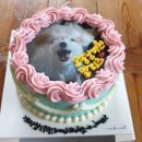 오송 케이킷 포토케이크 🎂