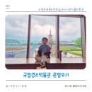 경주 아이랑 가볼 만한 곳 국립경주박물관 방문 후기 추천 관람 동선 경주 실내 여행