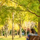 선운산도립공원(선운사 주차장 앞) 이미지