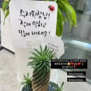기쁜헤어샵