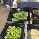 별미지교 이미지