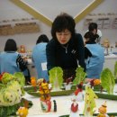 석화꽃무지풀무지유치원 이미지