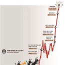 개미카서비스 이미지