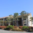 노벨CC골프연습장 이미지