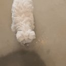 올리스 아시아드점 이미지