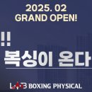 랩 복싱 피지컬 이미지