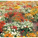 바다랜드 이미지