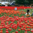 낙동강관리본부 화명생태공원 10 이미지