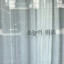 오늘의위로