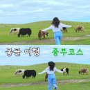 11590-나210-4 | [몽골여행] 여자 7명 몽골 여행 4박 5일 중부 코스 내돈내산 찐 후기| 7월 날씨, 옷차림 추천