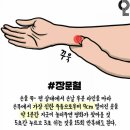 빨간통 이미지