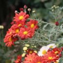 여미지한의원 이미지