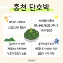 명품옥수수+ 이미지