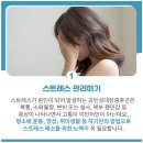 정비대장 이미지